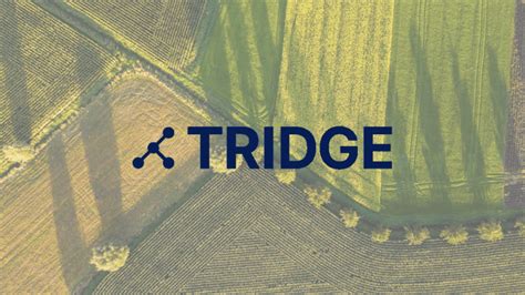 T­a­r­ı­m­ ­v­e­ ­g­ı­d­a­ ­t­i­c­a­r­e­t­i­ ­p­l­a­t­f­o­r­m­u­ ­T­r­i­d­g­e­­i­n­ ­d­e­ğ­e­r­l­e­m­e­s­i­ ­2­.­7­ ­m­i­l­y­a­r­ ­d­o­l­a­r­a­ ­u­l­a­ş­t­ı­